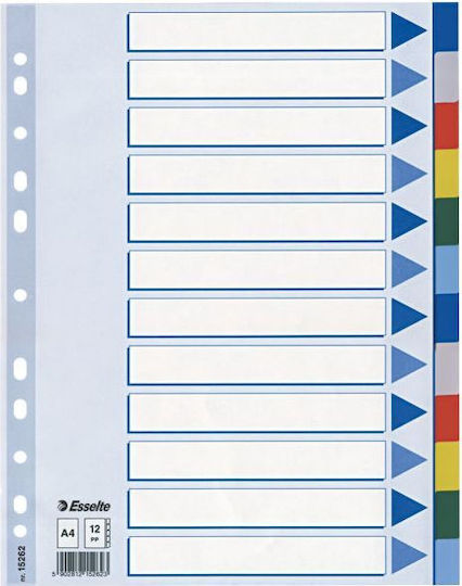 Esselte Plastic Dividers for Documents A4 with Holes 12pcs