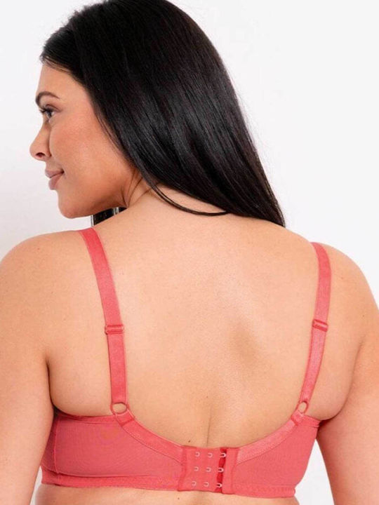 Curvy Kate Curvy Kate