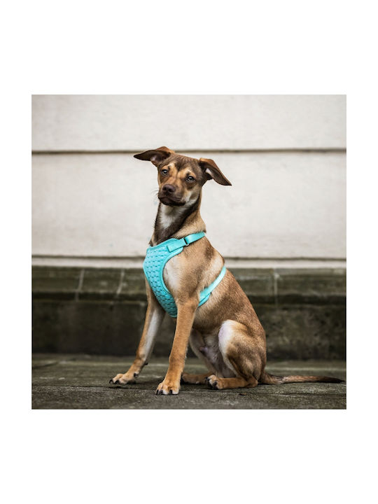 Dingo Anti-pressure - Dog Harness - 49-69 Cm