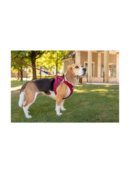 Curli Dog Harness Vest Clasp Air-Mesh Orange XX-Small 30-35cm PN2830