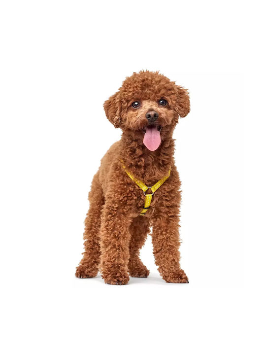 Hunter Hundegeschirr Harness Gelb
