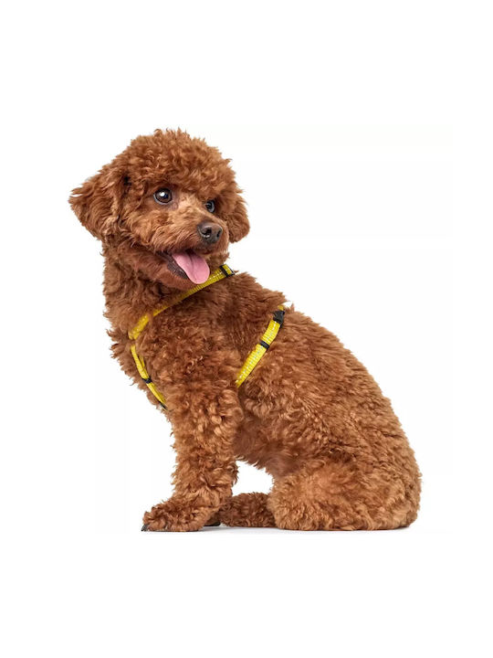Hunter Hundegeschirr Harness Gelb
