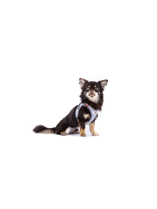 Curli Glow Clasp Geschirr Reflektierend Grau Klein Brustumfang 38,3-43,3 cm Curli Glow Clasp Geschirr Reflektierend Grau Klein Brustumfang 38,3-43,3 cm