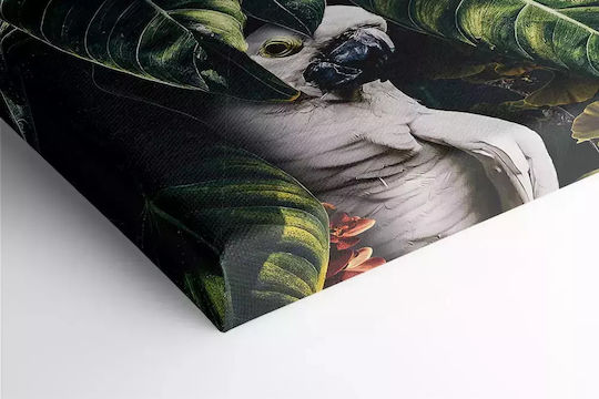 Papagal tropical Tablou pe Pânză cu Înălțime 40cm