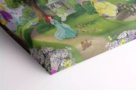 Disney Prinzessinnen 45x65cm
