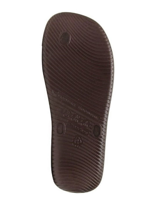 Men's Flip Flops Anatomic Brown