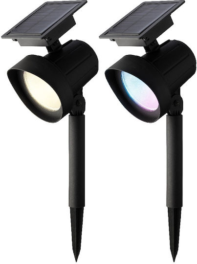 Lumineo Set of 2 Stake Solar Lights 25lm 13cmx11cmx42.5cmcm