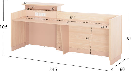 HomeMarkt Büroempfang mit Abmessungen L240xB80xH106cm
