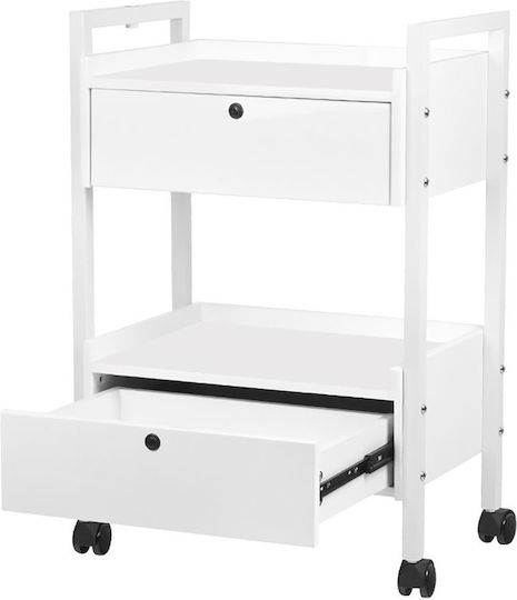 Giovanni Hair Salon Maintenance Cart
