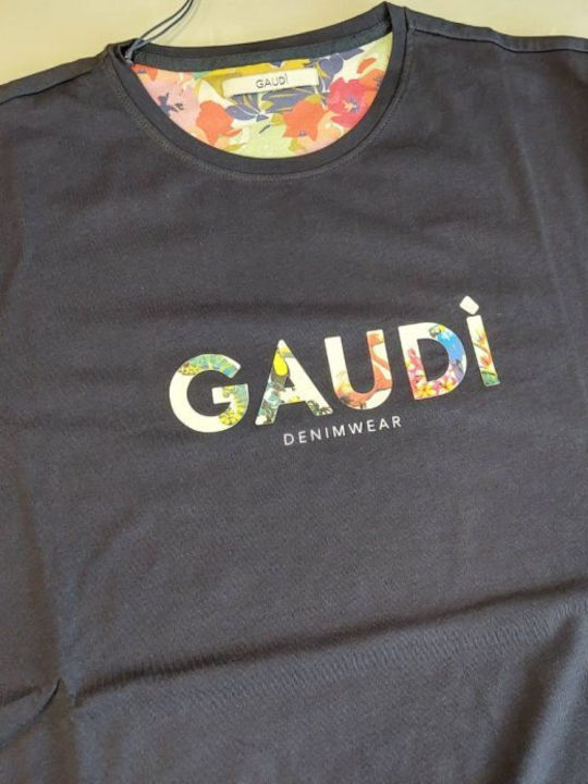 Gaudi