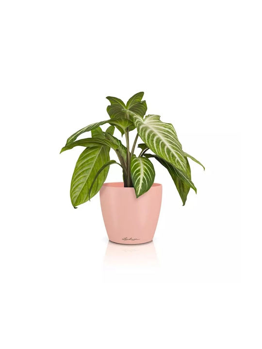 Lechuza Classico Саксия Пластмаса 15x15x14см.