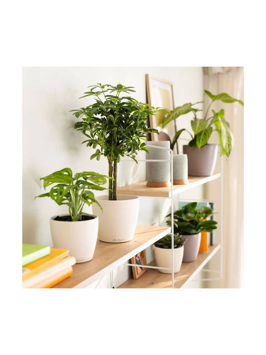 Lechuza Classico Pot Plastic Magnolia 15x15x14cm.