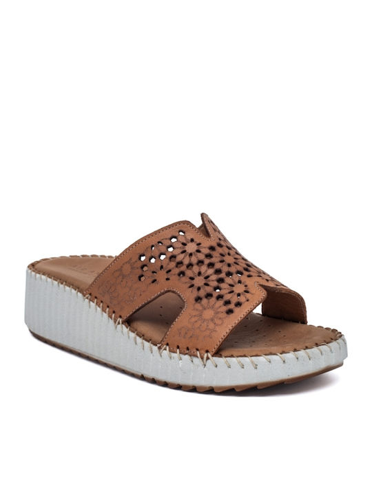 Air Anesis