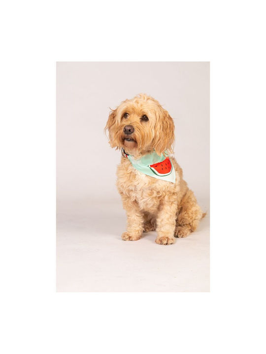 Max & Molly Watermelon Dog Bandana Large