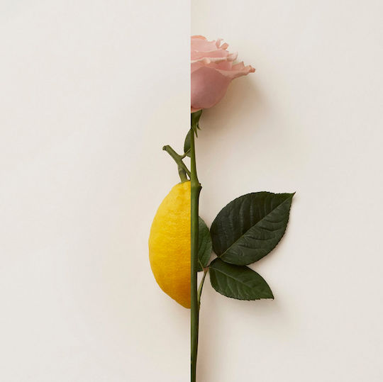 New Notes Rosa Limone Extrait de Parfum 50ml