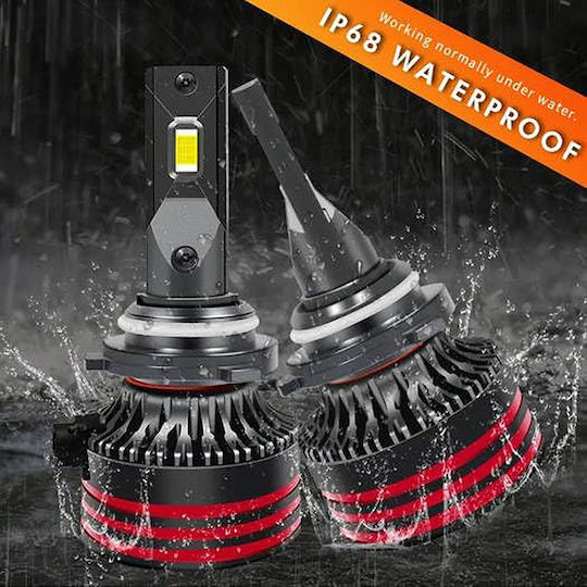Conpex Lamps Car H1 Canbus LED 6000K Cold White 12V 55W 2pcs