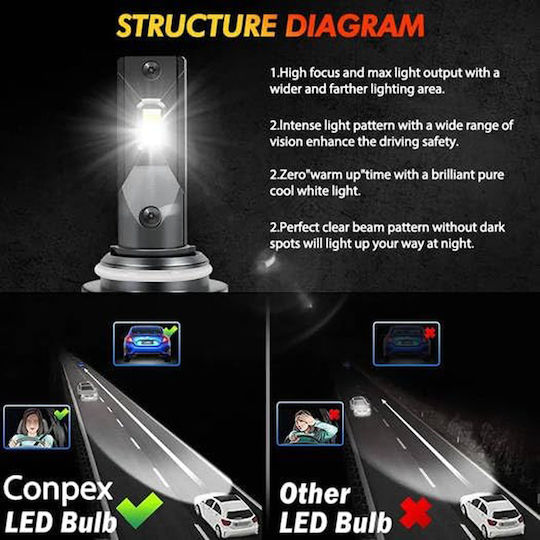 Conpex Lamps Car H1 Canbus LED 6000K Cold White 12V 55W 2pcs