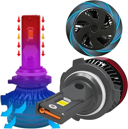 Conpex Lamps Car H7 Canbus LED 6000K Cold White 12V 55W 2pcs