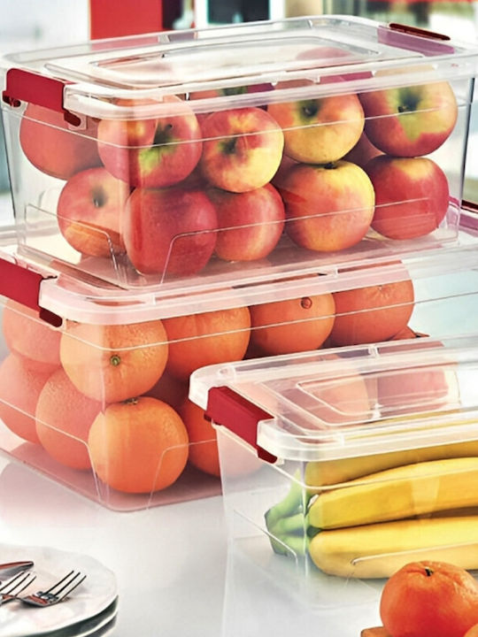 Viosarp Plastic Storage Box with Lid Transparent 30x20x12cm