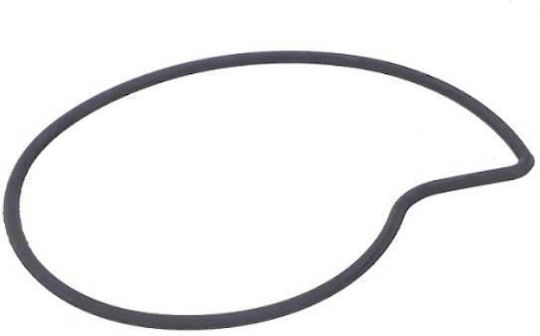 Piaggio Wasserpumpe Μοτοσυκλέτας Wasserpumpen-O-Ring Roller 125/300