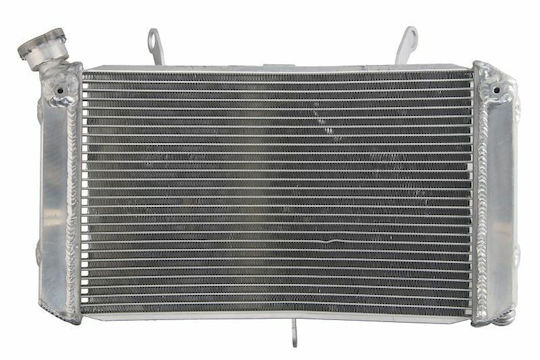 Radiator de apă 4ride Yamaha Fz1 1000 2006-2012