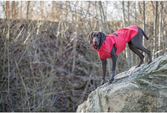 Trixie Vimy Hundemantel Wasserdicht Rot XSklein mit Rückenlänge 30 cm.
