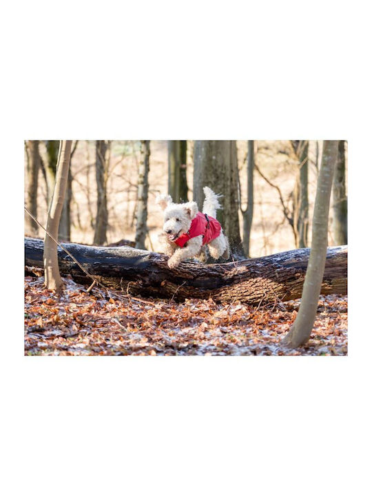 Trixie Vimy Red Waterproof Dog Coat XSmall with 30cm Back Length
