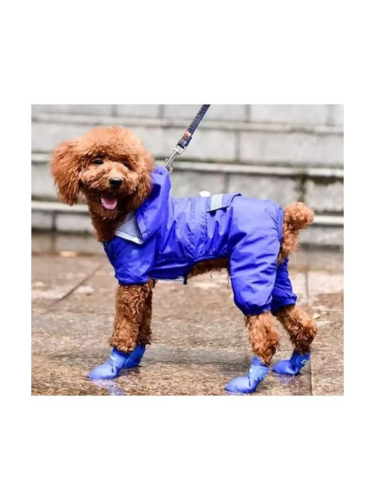 Value Shoes Dog Medium Blue 5x4cm in Blue Color