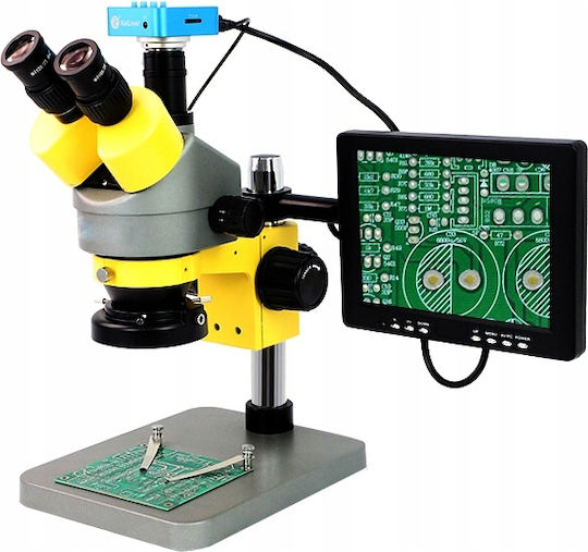 Display Holder for Stereoscopic Microscope