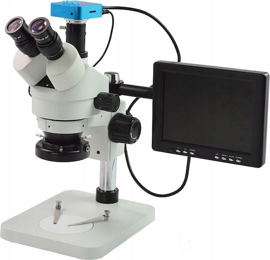 Display Holder for Stereoscopic Microscope