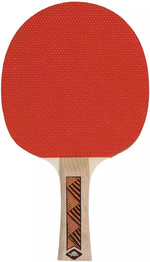 Donic Champs 200 Ρακέτα Ping Pong για Αρχάριους Παίκτες