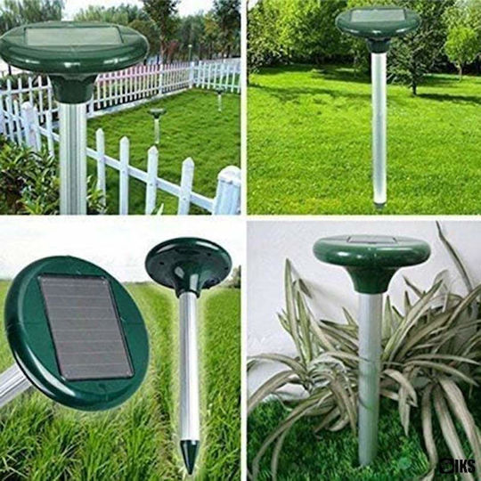 Set of 2 Solar Lights