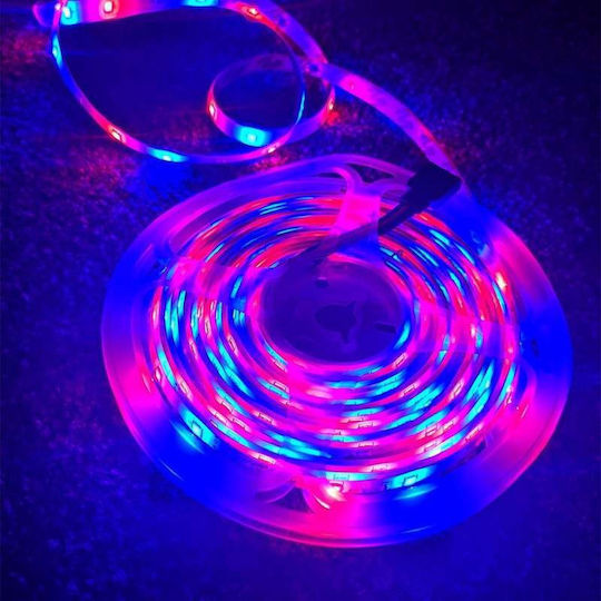 Waterproof LED Strip 12V RGB Light 10m with Remote Control