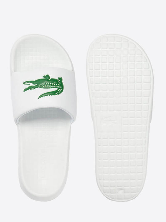 Lacoste Lacoste