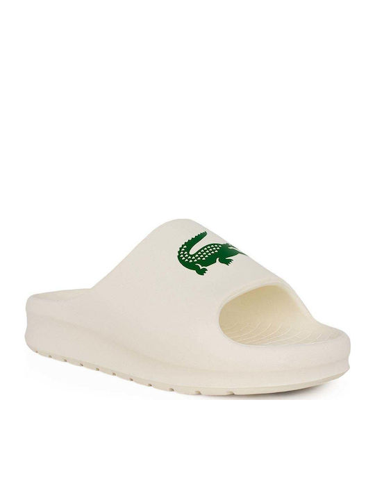 Lacoste Lacoste