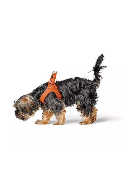 Δερμάτινο Σαμαράκι Hunter Harness Geschirr Hilo 37-40/xs-s Orange