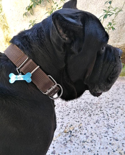 Hundezubehör Knochen Blau