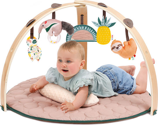 Ludi Baby Activity Gym for 6+ Months