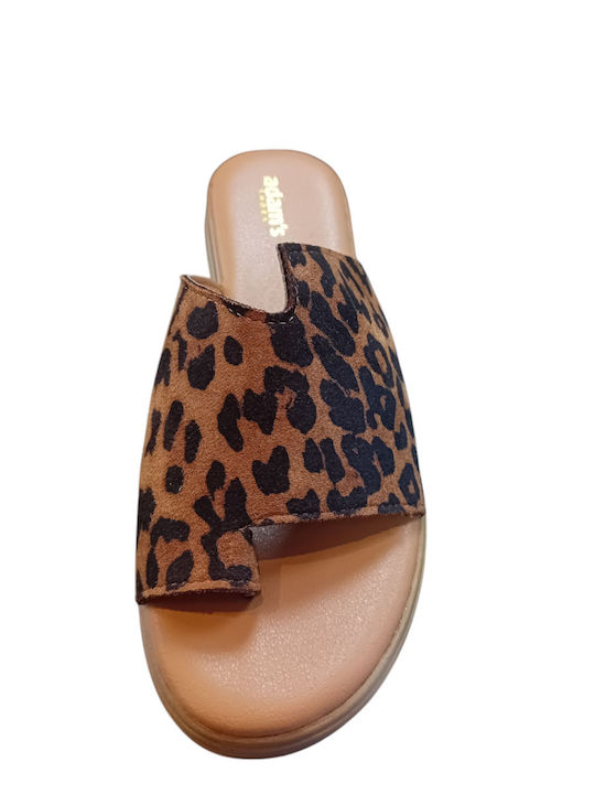 Women's Flat Sandals Flatforms Various Colors