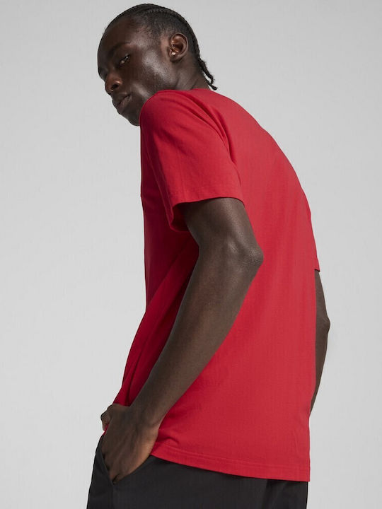T-Shirt Rot