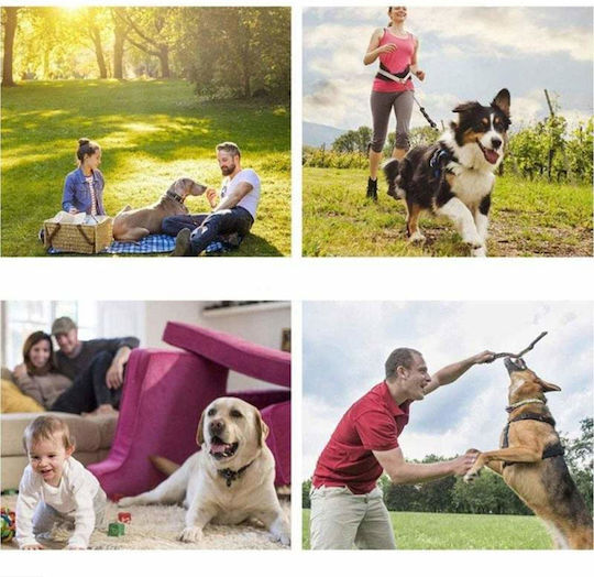 Siks 651e Ultrasonic Device Against Aggressive Dogs 10m Range Black