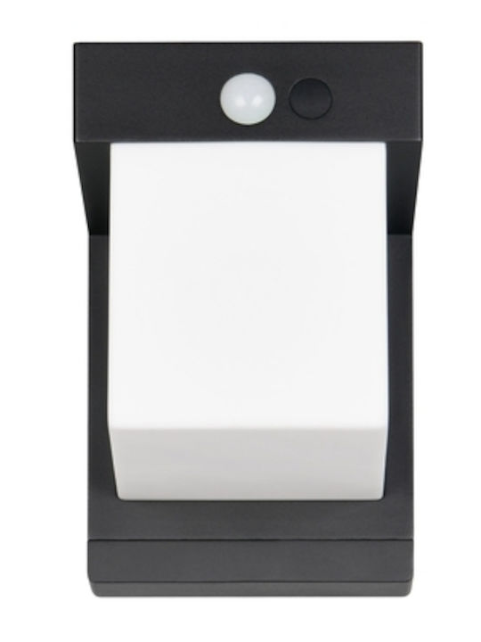 Trio Lighting Wall-Mounted Outdoor Light