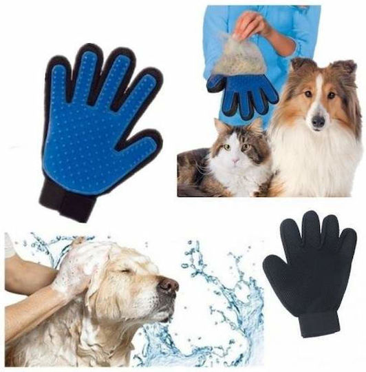 Handschuh Hunde zur Fellreinigung Blau