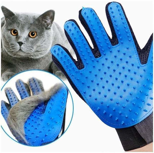 Handschuh Hunde zur Fellreinigung Blau