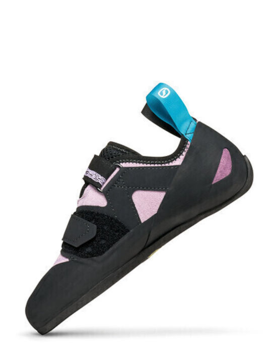 Scarpa Women's Multicolour Climbing Shoes