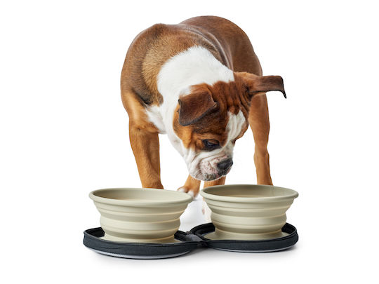 Hunter Bowl Silicone Food & Water for Dog 750ml in Beige Color