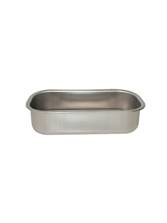 Steel Pan Non-stick Baking Pan 30x11x8cm