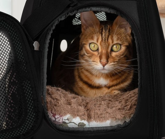 Purlov Dog/Cat Carrying Black Handbag for 6kg Pets L43xW32xH27cm