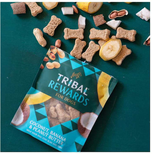Tribal Pet Foods Rewards Biscuit Dog Gluten Free with Banana and Peanut Butter 125gr