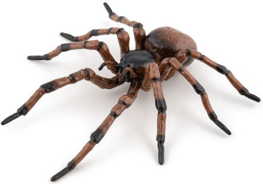 Spider Figurina Chat